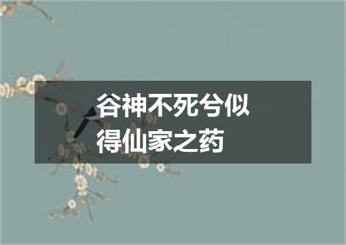 谷神不死兮似得仙家之药