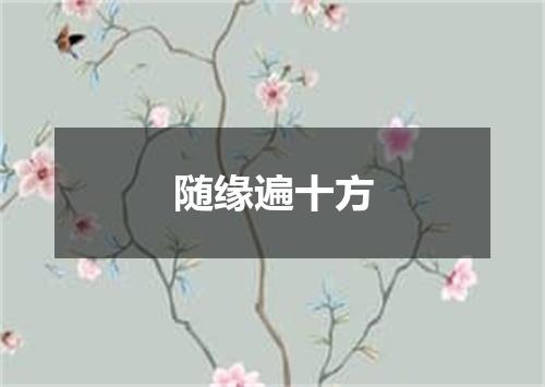 随缘遍十方