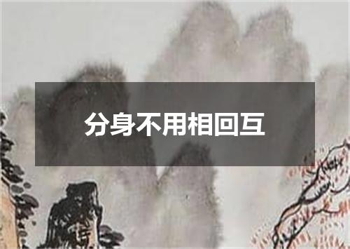 分身不用相回互