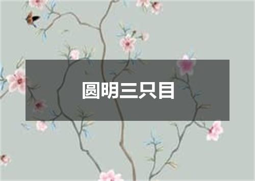 圆明三只目