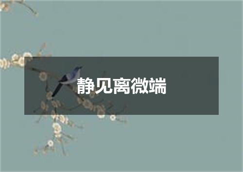 静见离微端