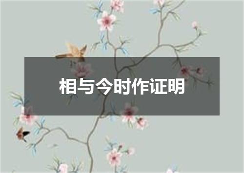 相与今时作证明