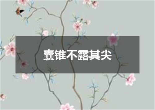 囊锥不露其尖