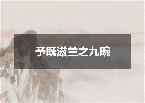 予既滋兰之九畹
