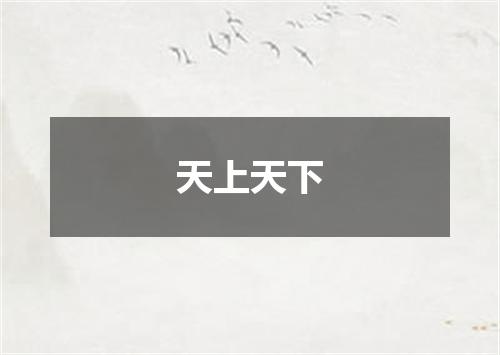 天上天下
