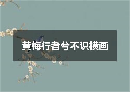 黄梅行者兮不识横画