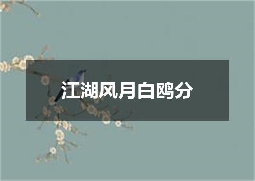 江湖风月白鸥分