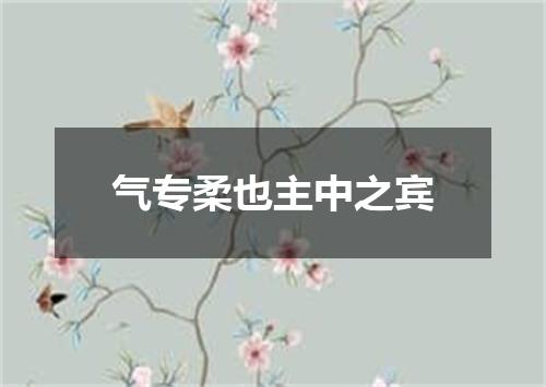 气专柔也主中之宾