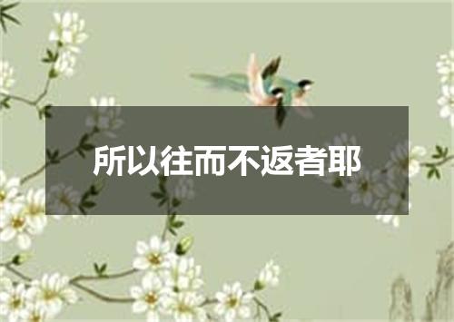 所以往而不返者耶