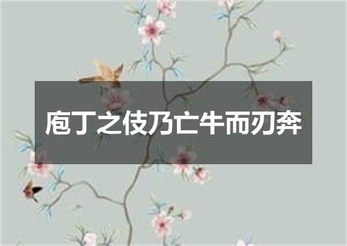 庖丁之伎乃亡牛而刃奔
