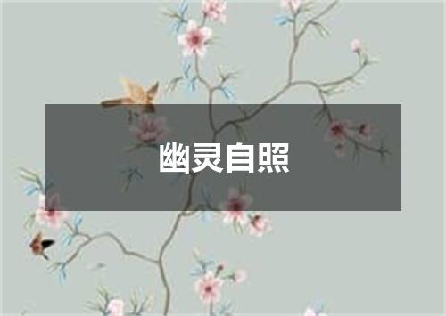 幽灵自照