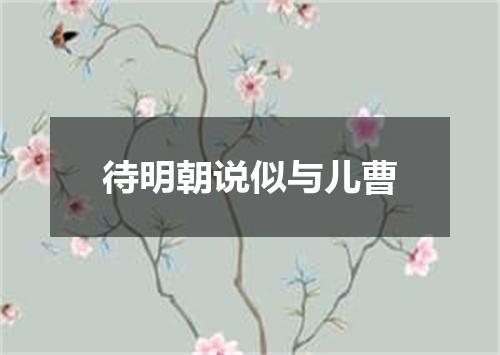 待明朝说似与儿曹