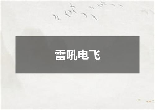 雷吼电飞