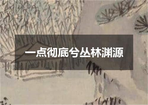 一点彻底兮丛林渊源