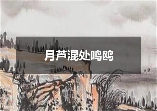 月芦混处鸣鸥