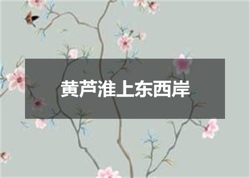 黄芦淮上东西岸