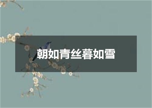 朝如青丝暮如雪