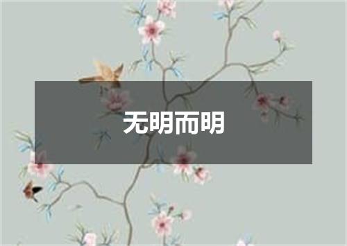 无明而明