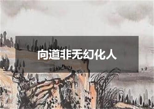 向道非无幻化人