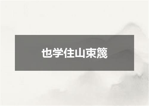 也学住山束篾