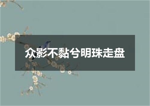 众影不黏兮明珠走盘