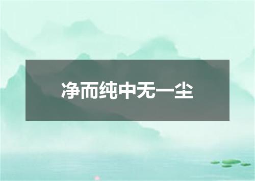 净而纯中无一尘