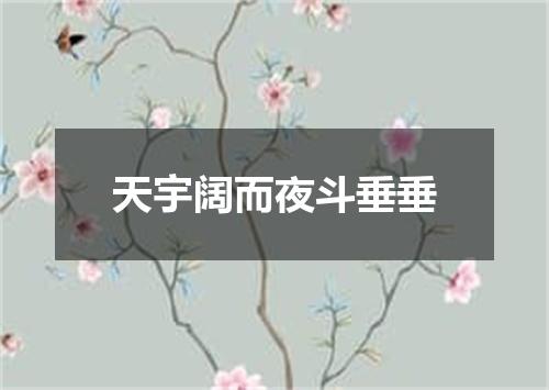 天宇阔而夜斗垂垂