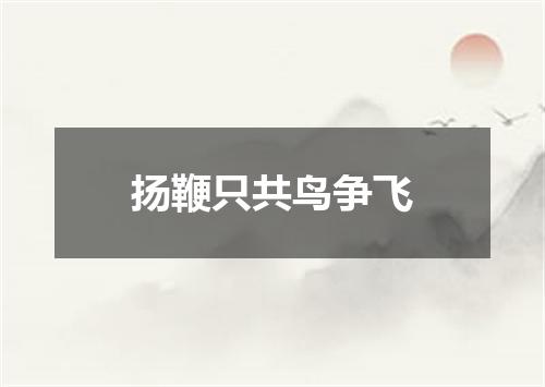 扬鞭只共鸟争飞