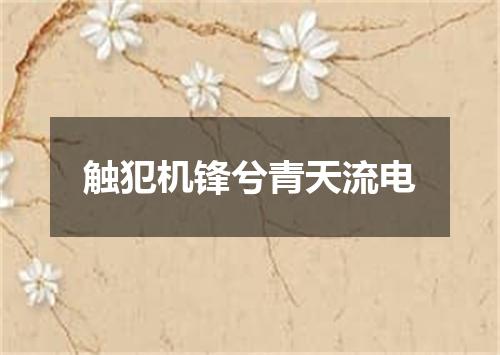 触犯机锋兮青天流电