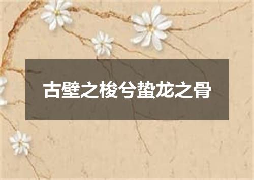 古壁之梭兮蛰龙之骨