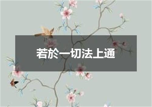 若於一切法上通