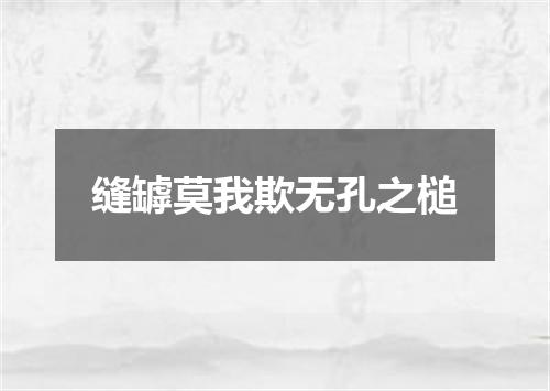 缝罅莫我欺无孔之槌