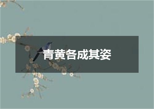青黄各成其姿