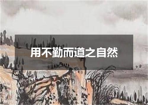 用不勤而道之自然