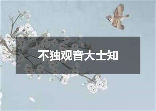 不独观音大士知