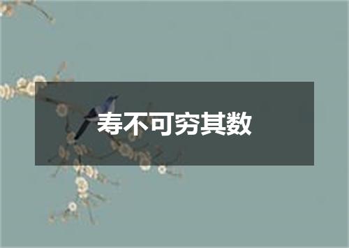 寿不可穷其数