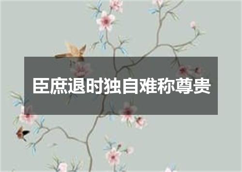 臣庶退时独自难称尊贵