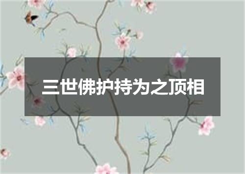 三世佛护持为之顶相