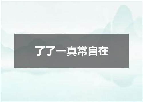 了了一真常自在