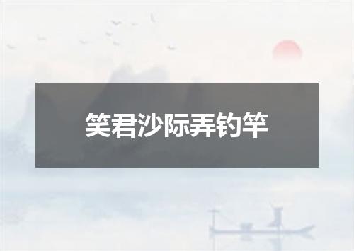 笑君沙际弄钓竿