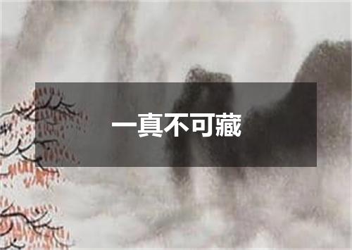 一真不可藏