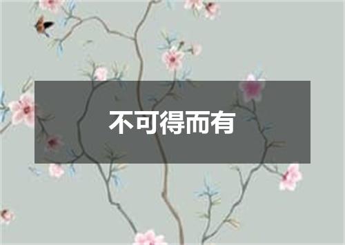 不可得而有