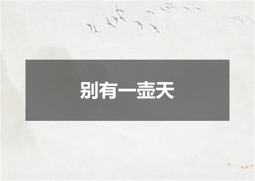 别有一壶天