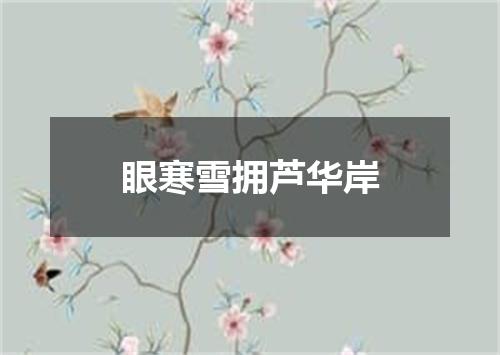 眼寒雪拥芦华岸