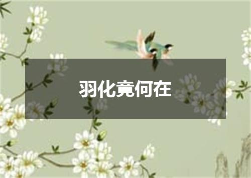 羽化竟何在
