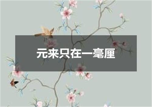 元来只在一毫厘