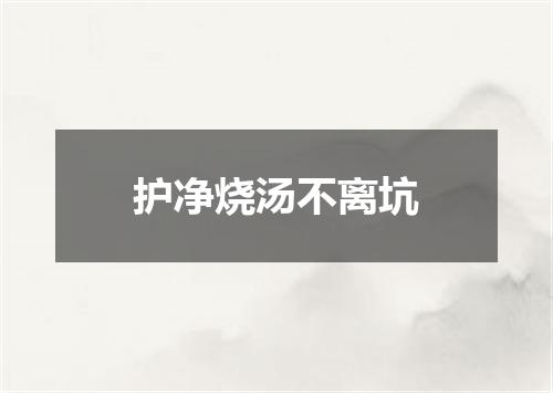 护净烧汤不离坑