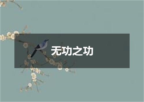 无功之功