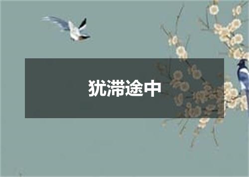 犹滞途中