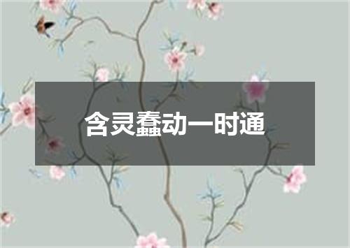 含灵蠢动一时通